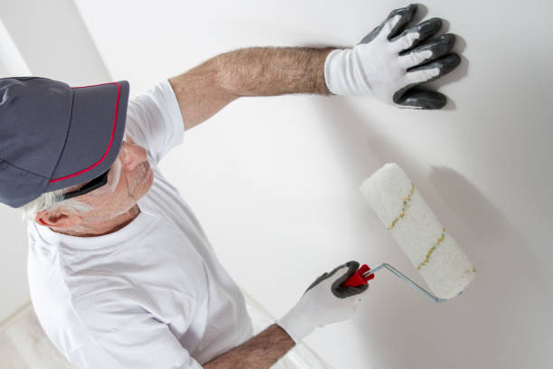 Best Comprehensive Air Testing for Mold Contaminants  in Macedonia, OH