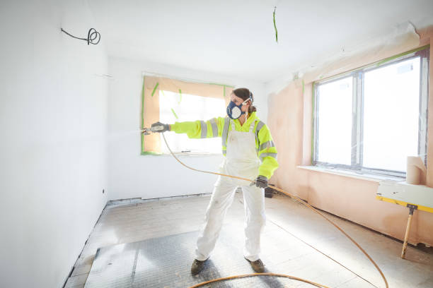 Best Mold Damage Restoration  in Macedonia, OH