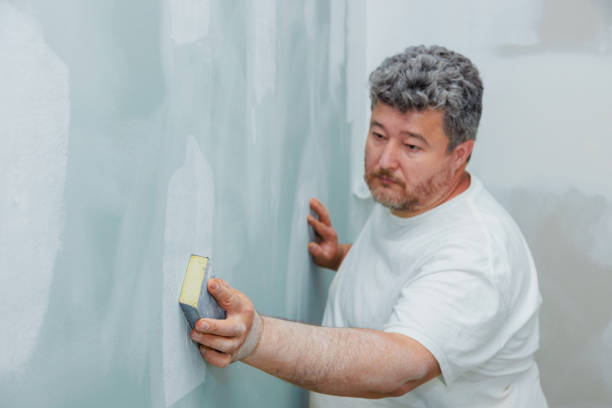 Trusted Macedonia, OH Mold Removal Experts