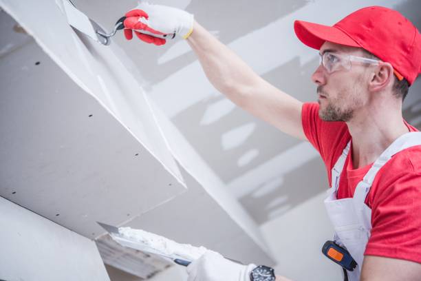 Best Dehumidification Services  in Macedonia, OH